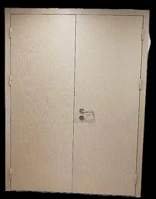 Venta al por mayor Puerta insonorizada de acero 40DB Puerta incineradora Puerta doble