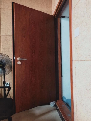 Fabricante Suministro de acero Puertas insonorizadas Puertas a prueba de fuego para sala de vídeo