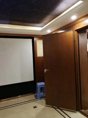 Fabricante Suministro de acero Puertas insonorizadas Puertas a prueba de fuego para sala de vídeo