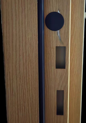Puertas acústicas de acero con velocidad de incendio, insonorizadas, selladas, de 40 dB, o puertas acústicas de acero